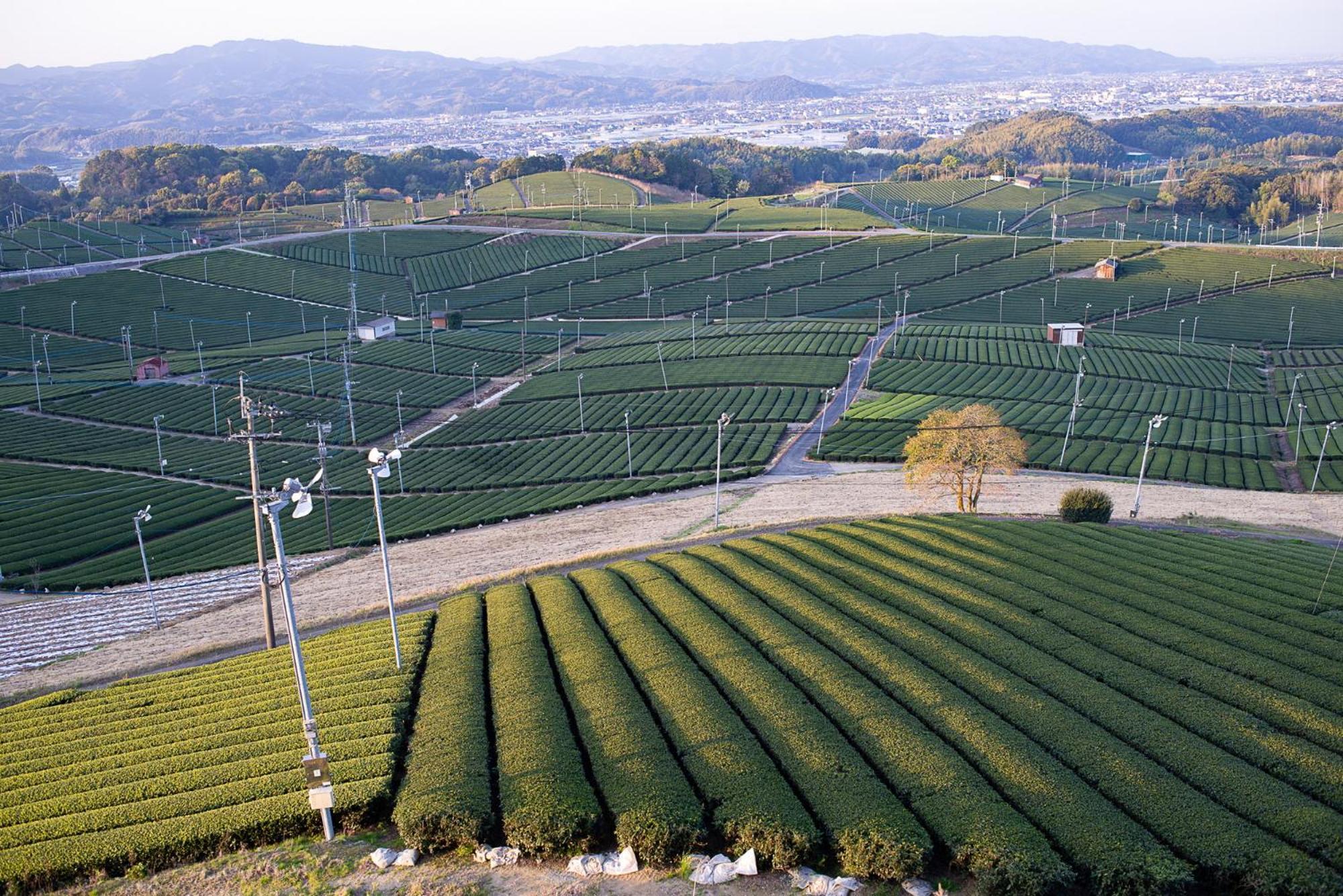 Nipponia Hotel Yamefukushima Merchant Town Tagawa Exterior foto